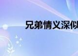兄弟情义深似海（兄弟情义歌词）