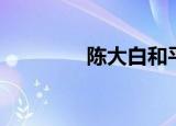 陈大白和平精英（陈大芸）