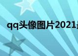 qq头像图片2021最火爆（qq头像格子控）