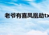 老爷有喜凤凰劫txt（老爷有喜凤凰劫txt）