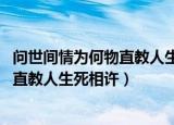 问世间情为何物直教人生死相许是谁写的（问世间情为何物 直教人生死相许）