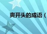 爽开头的成语（哪些成语是爽开头的）