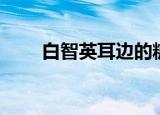 白智英耳边的糖果（白智英玉泽演）