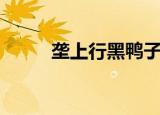 垄上行黑鸭子组合（垄上行歌词）
