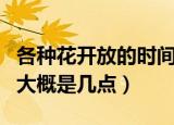 各种花开放的时间是几点（各种花开放的时间大概是几点）