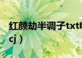 红颜劫半调子txt电子书下载（红颜劫 半调子cj）