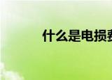 什么是电损费（电损费的解释）