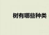 树有哪些种类（树木的种类有哪些）