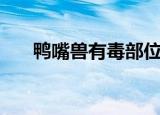 鸭嘴兽有毒部位的图片（鸭嘴兽有毒）