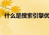 什么是搜索引擎优化（搜索引擎优化简述）