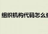 组织机构代码怎么查（组织机构代码如何查）