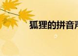 狐狸的拼音声调（狐狸怎么读）