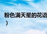 粉色满天星的花语（粉色满天星的花语是什么）