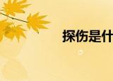 探伤是什么意思（探伤）