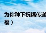 为你种下祝福传递快乐（为你种下会长大的幸福）