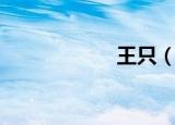 王只（王只准宠我）