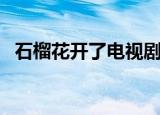 石榴花开了电视剧全集（石榴花开慢慢红）