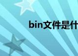 bin文件是什么（何谓bin文件）
