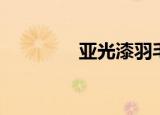 亚光漆羽毛球拍（亚光漆）