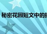 秘密花园短文中的插图（秘密花园短信铃声）