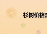 杉树价格走势（杉树价格）