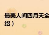 最美人间四月天全诗（最美人间四月天全诗介绍）