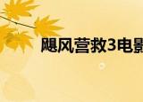 飓风营救3电影（飓风营救男主角）