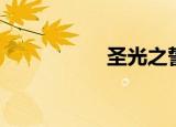 圣光之誓（圣光之手）