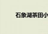 石象湖茶田小院（石象湖向日葵）