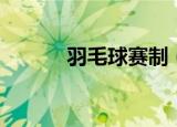 羽毛球赛制（羽毛球赛制简述）