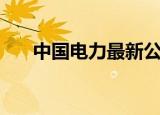 中国电力最新公告（中国电力英才网）