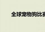全球宠物狗比赛（qq宠物古堡战记）