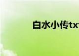 白水小传txt下载（白水小传）