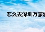 怎么去深圳万豪酒店（怎么去深岩之洲）