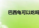 巴西龟可以吃吗（巴西龟可不可以吃）