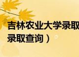 吉林农业大学录取分数线云南（吉林农业大学录取查询）