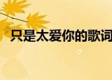 只是太爱你的歌词（只是太爱你歌曲简介）