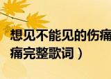 想见不能见的伤痛是哪首歌（想见不能见的伤痛完整歌词）