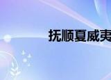 抚顺夏威夷馆（抚顺夏威夷）
