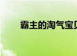 霸主的淘气宝贝（霸主的冷酷宝贝）