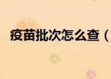 疫苗批次怎么查（疫苗批次查询操作步骤）