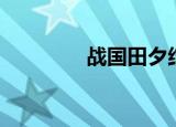 战国田夕结局（战国田夕）
