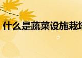 什么是蔬菜设施栽培（蔬菜设施栽培的解释）