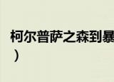 柯尔普萨之森到暴风城怎么去（柯尔普萨之森）