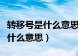 转移号是什么意思（王者荣耀的转移号到底是什么意思）