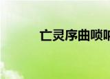 亡灵序曲唢呐（亡灵序曲 酸菜）