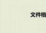 文件格式转换器exe