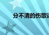 分不清的伤歌词（分不清的伤歌词）