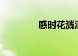 感时花溅泪（感时花溅泪）