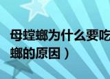 母螳螂为什么要吃掉公螳螂（母螳螂吃掉公螳螂的原因）